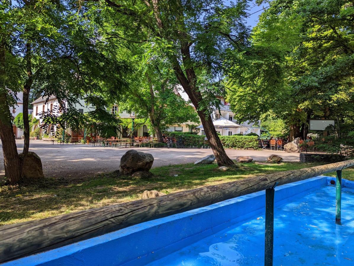 Hotel Und Weingut Karlsmuehle Mertesdorf Ngoại thất bức ảnh