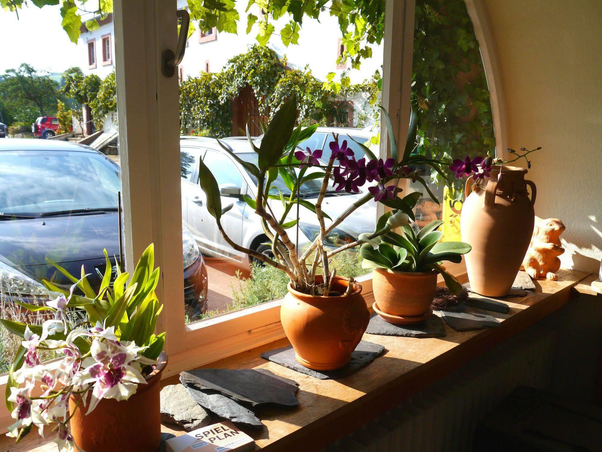 Hotel Und Weingut Karlsmuehle Mertesdorf Ngoại thất bức ảnh